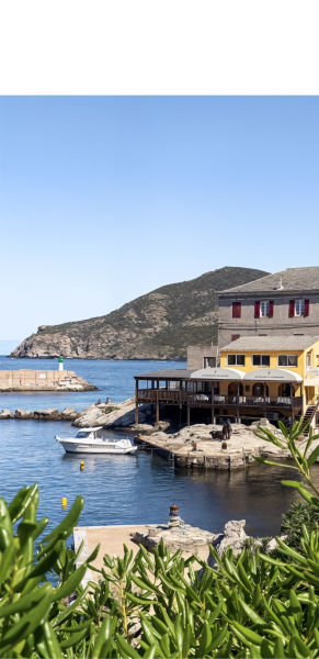 Le restaurant - Le Langoustier - restaurant CENTURI - Langouste en Corse