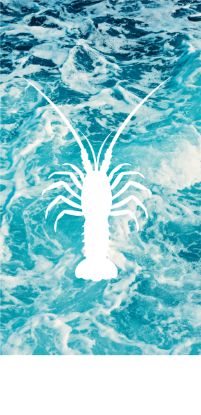 Le restaurant - Le Langoustier - restaurant CENTURI - restaurant CENTURI