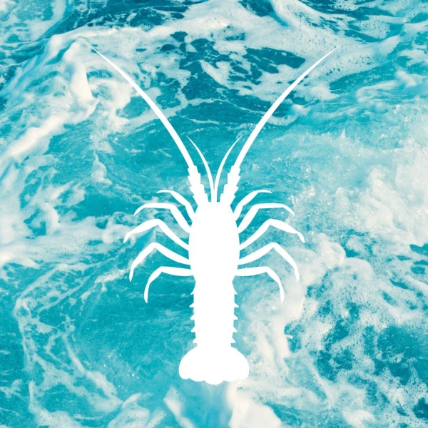 La carte - Le Langoustier - restaurant CENTURI - Restaurant Cap Corse