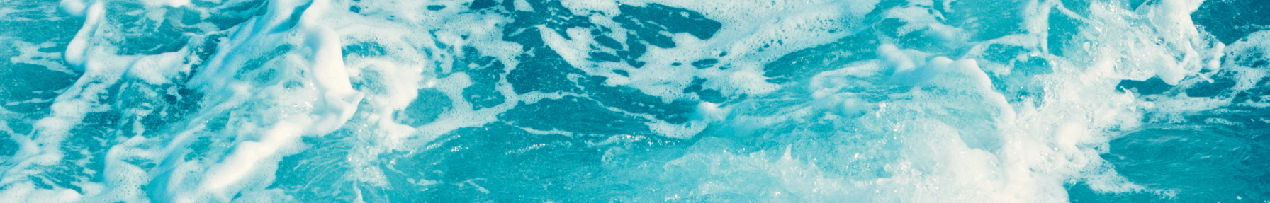 Le restaurant - Le Langoustier - restaurant CENTURI